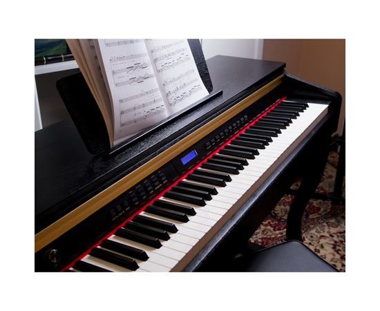 Цифровое пианино Alfabeto Concert (Black)