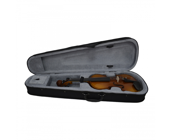 Кейс для скрипки Alfabeto FOAM-V