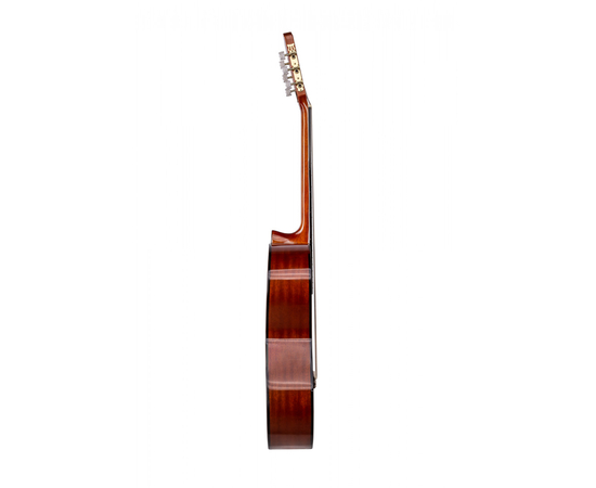 Классическая гитара Alfabeto SAPELE CS39G + чехол