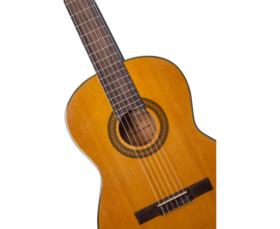 Классическая гитара Alfabeto SAPELE CS39G + чехол