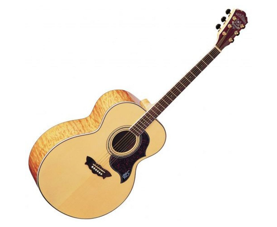 Акустическая гитара Washburn J28 SDL - 155143 за 0 грн. | 4Club
