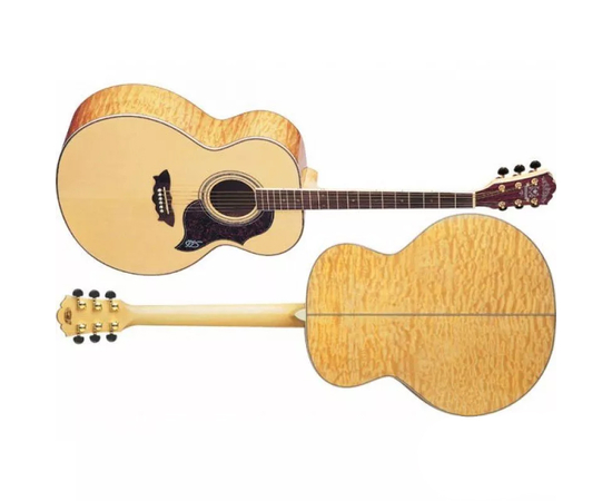 Акустическая гитара Washburn J28 SDL