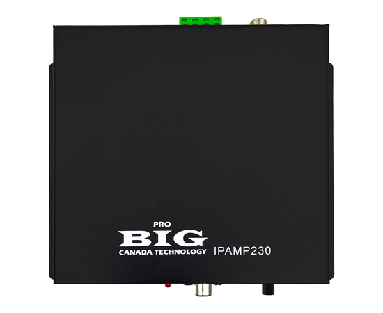 Мережевий цифровий підсилювач BIG IP AMP230