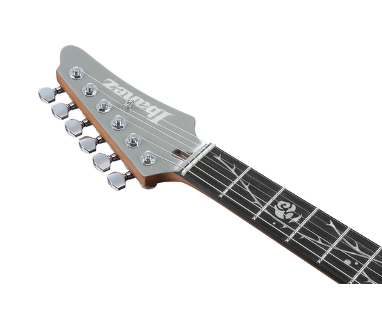 Электрогитара IBANEZ TOD10