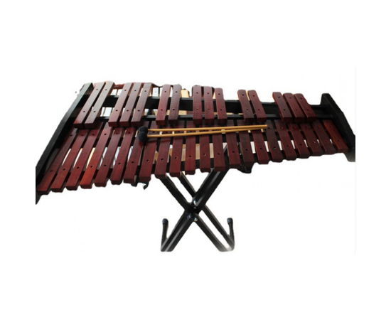 Ксилофон Alfabeto XYLO37PRO - 156393 за 0 грн. | 4Club