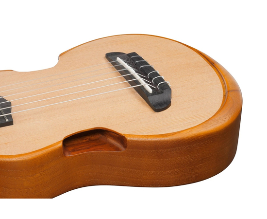 Укулеле тенор IBANEZ AUP10N OPN