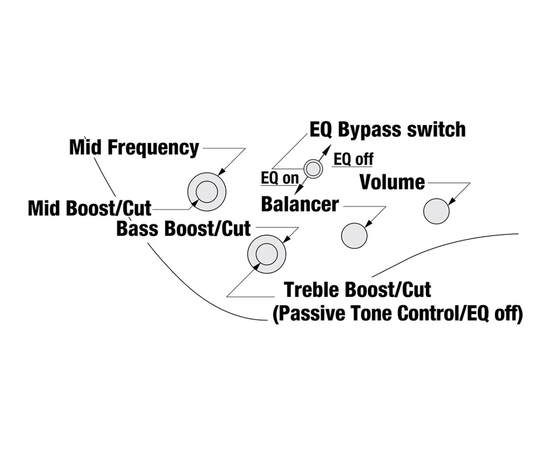 Пятиструнная бас-гитара IBANEZ EHB1505S DEL