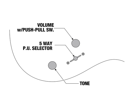 Електрогітара IBANEZ KIKOSP3 TEB