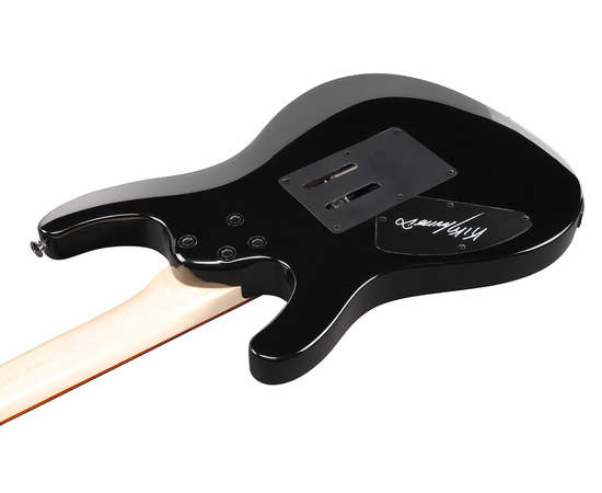 Електрогітара IBANEZ KIKOSP3 TEB