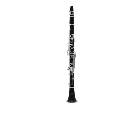 Кларнет Сі-бемоль (Bb) J.MICHAEL CL-460 CLARINET - 156826 за 12738 грн. | 4Club