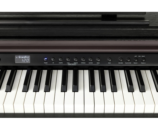 Цифровое пианино Kurzweil CUP E1 SR