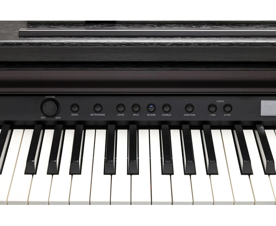 Цифровое пианино Kurzweil CUP E1 SR