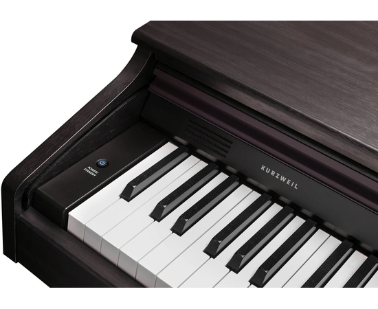 Цифровое пианино Kurzweil CUP E1 SR