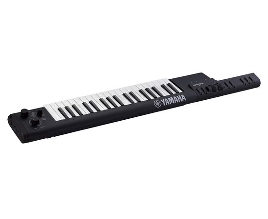 Синтезатор YAMAHA SHS-500B Sonogenic (Black)