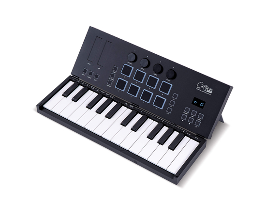 Розкладна MIDI-клавіатура / контролер Blackstar Carry-on FC-25 Folding Controller (25 клавіш) Black - 156829 за 7035 грн. | 4Club