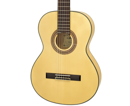 Класична гітара Aria A-20F