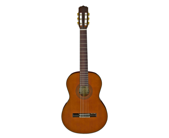 Классическая гитара Aria A-20 N - 157132 за 0 грн. | 4Club