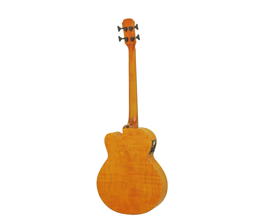 Электроакустическая бас-гитара Aria FEB-F2M STBR