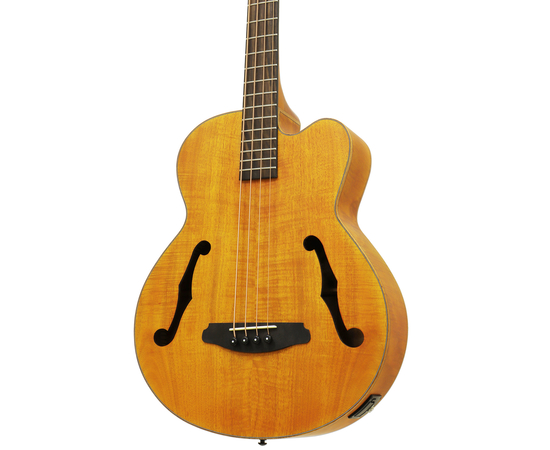 Электроакустическая бас-гитара Aria FEB-F2M STBR