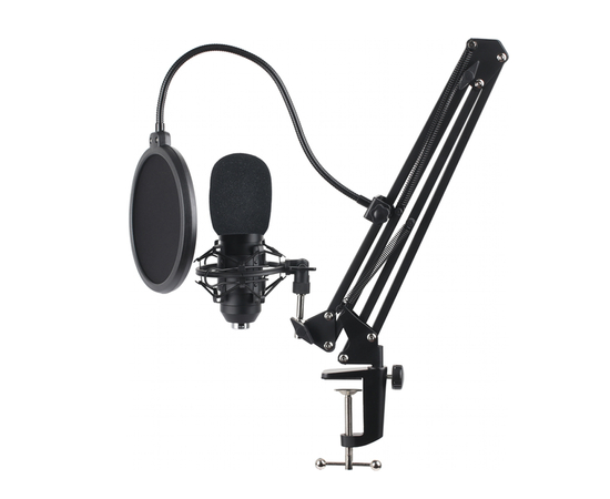 USB-мікрофон з пантографом GamePro SM1604