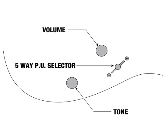 Электрогитара IBANEZ RG420EX BKF