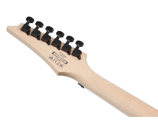 Электрогитара IBANEZ RG420EX BKF