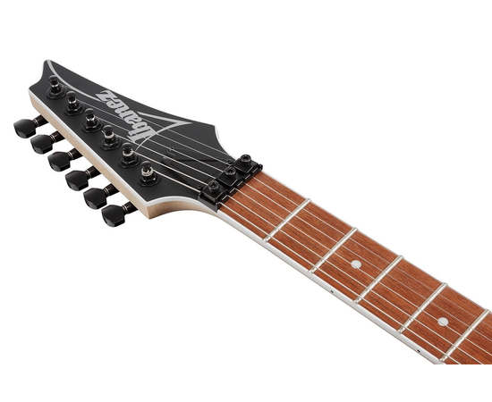 Электрогитара IBANEZ RG420EX BKF