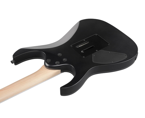 Электрогитара IBANEZ RG420EX BKF