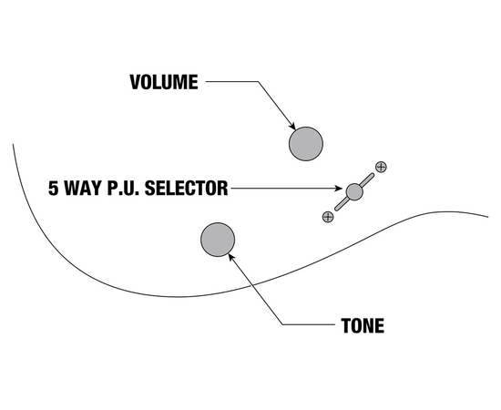 Электрогитара IBANEZ RG421S SEM
