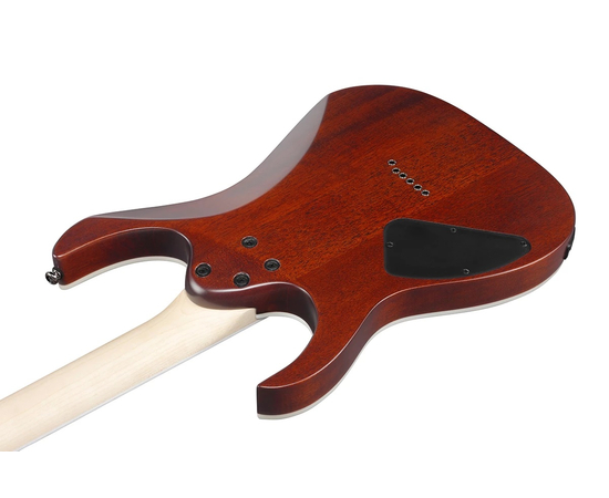Электрогитара IBANEZ RG421S SEM