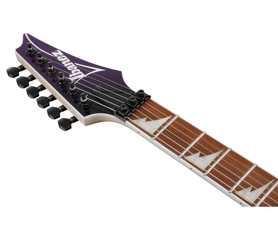 Электрогитара IBANEZ RG470DX TMN