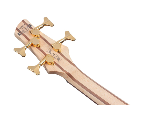 Бас-гитара IBANEZ SR300EDX BZM