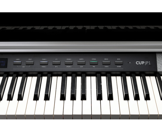 Цифрове піаніно Kurzweil CUP P1 BP