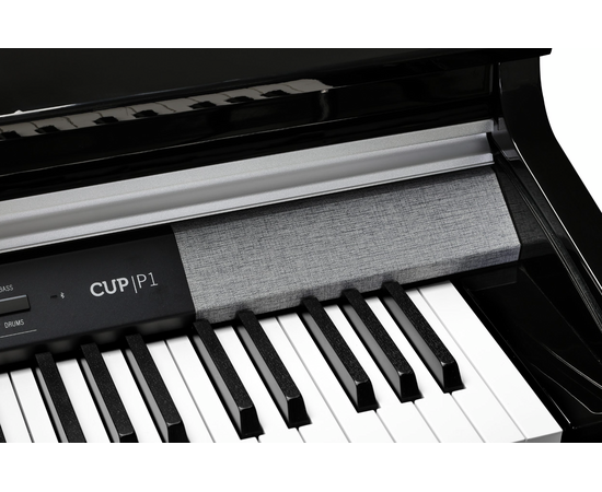 Цифрове піаніно Kurzweil CUP P1 BP