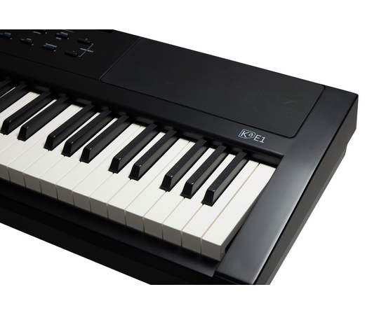 Цифровое пианино Kurzweil KA-E1 LB