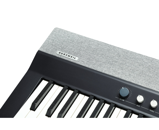 Портативное цифровое пианино Kurzweil KA-P1 LB