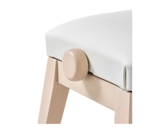 Банкетка CASIO BG50-VINYL-WE