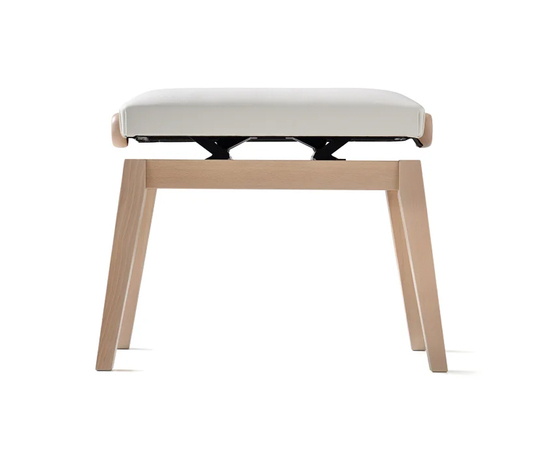 Банкетка CASIO BG50-VINYL-WE