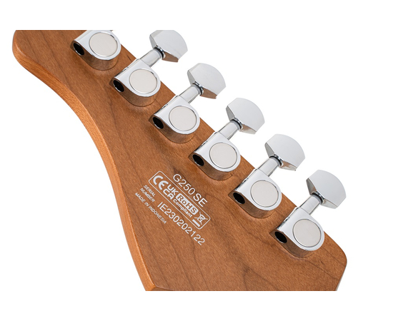 Электрогитара CORT G250 SE (Black)