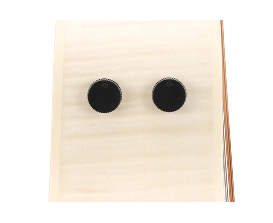 Электроакустическая гитара IBANEZ AAM370E OAW