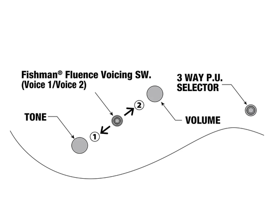 Электрогитара IBANEZ RGD3121-PRF