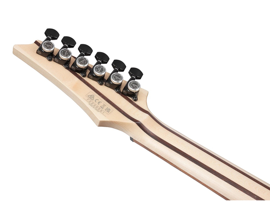 Электрогитара IBANEZ RGD3121-PRF