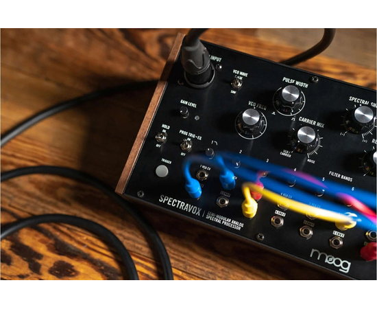 Синтезатор аналогового моделювання MOOG SPECTRAVOX
