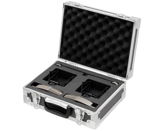 Пара студийных микрофонов sE Electronics T1 (P)