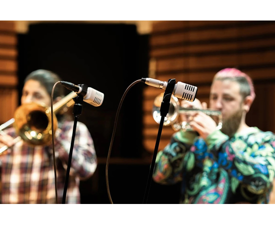 Инструментальный микрофон UNIVERSAL AUDIO SD-3