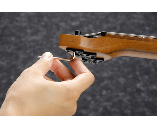 Пятиструнная мультимензурная бас-гитара IBANEZ EHB1005MS BKF