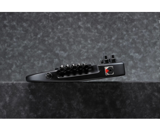 Пятиструнная мультимензурная бас-гитара IBANEZ EHB1005MS BKF