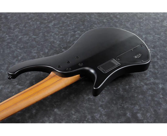 Пятиструнная мультимензурная бас-гитара IBANEZ EHB1005MS BKF
