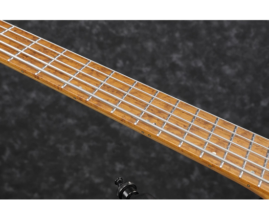 Пятиструнная мультимензурная бас-гитара IBANEZ EHB1005MS BKF