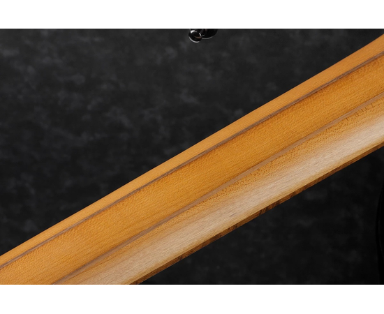 Пятиструнная мультимензурная бас-гитара IBANEZ EHB1005MS BKF